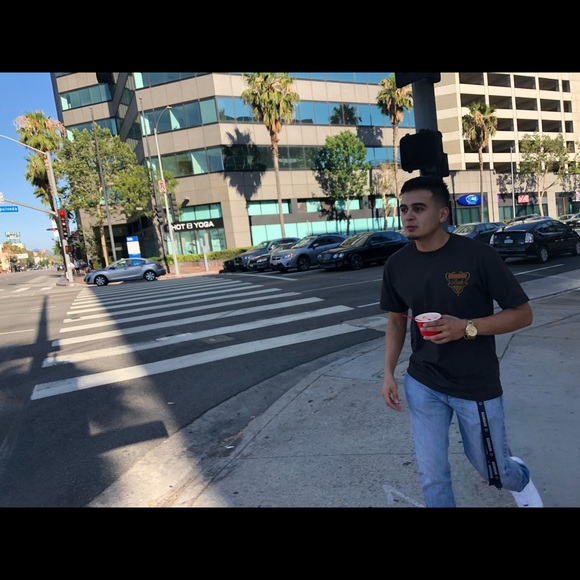 Meet your Posher, Louis - Picture 1 of 1